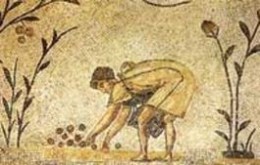la raccolta delle olive nel epoca romana